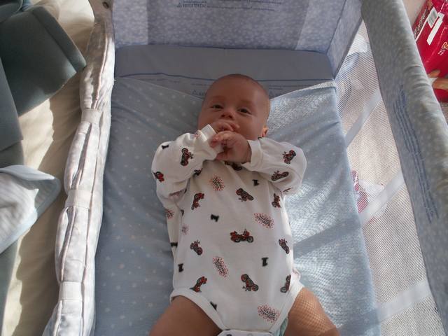 PICT1647.JPG  (40.6 Kb)