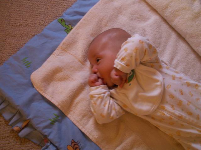 PICT1651.JPG  (35.7 Kb)