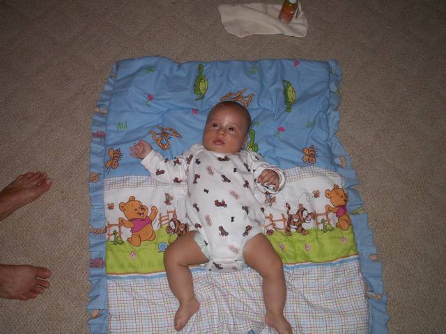 PICT1652.JPG  (45.5 Kb)