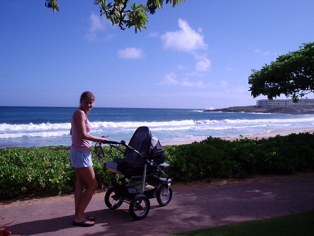 P1120024.JPG  (349.9 Kb)