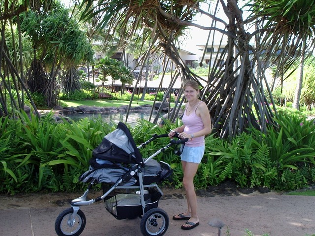 P1120025.JPG  (429.1 Kb)