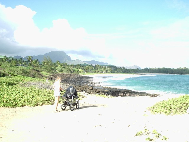 P1120028.JPG  (374.3 Kb)