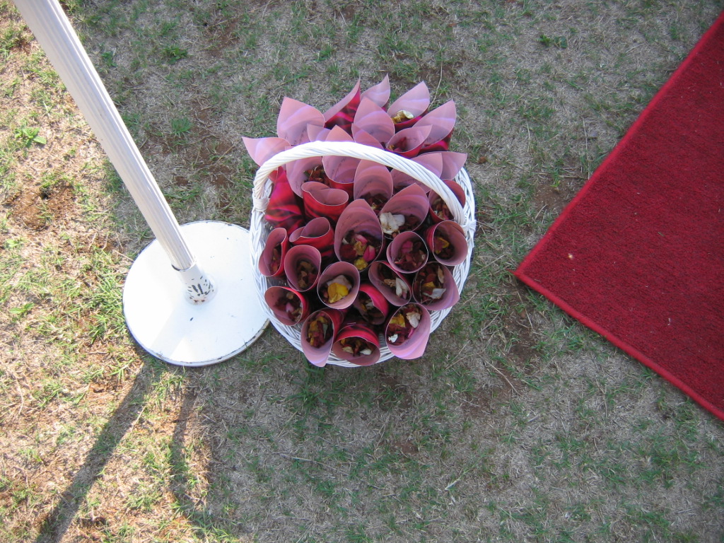 IMG_1100.jpg  (406.9 Kb)