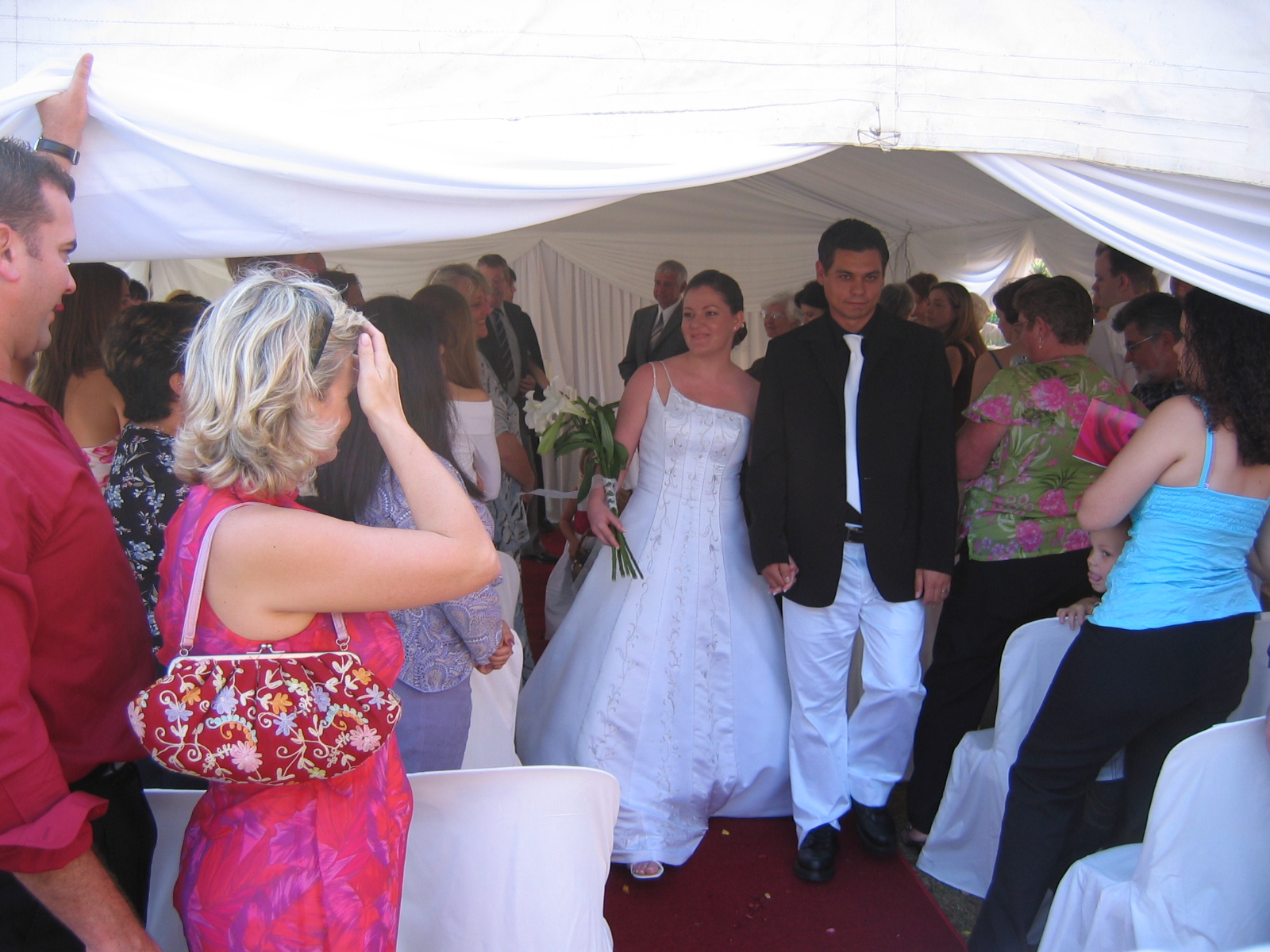 IMG_1117.jpg  (746.7 Kb)