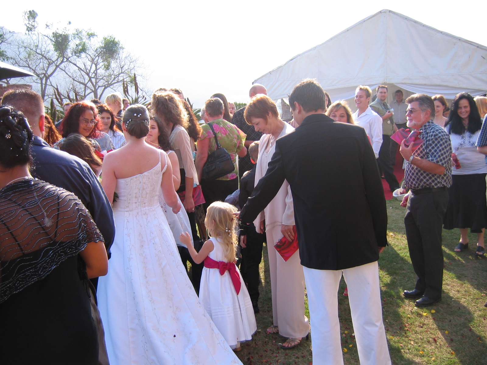 IMG_1124.jpg  (843.1 Kb)