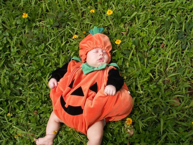 PICT1523.JPG  (76.8 Kb)