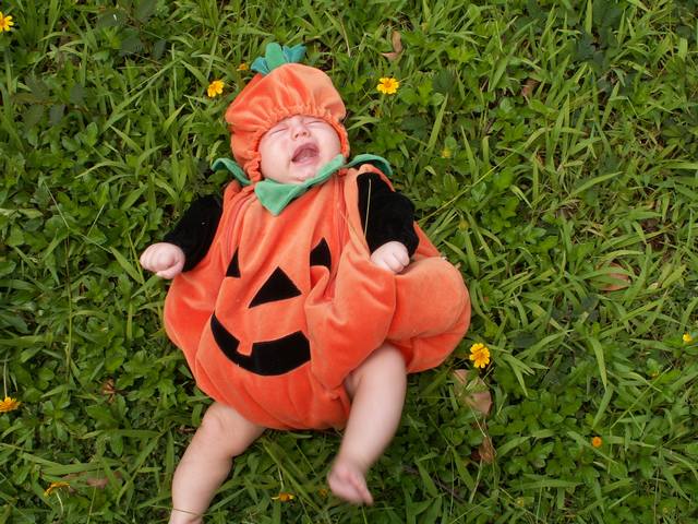 PICT1527.JPG  (71.7 Kb)