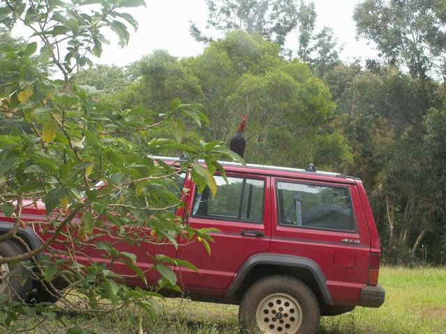 PICT1541.JPG  (63.5 Kb)