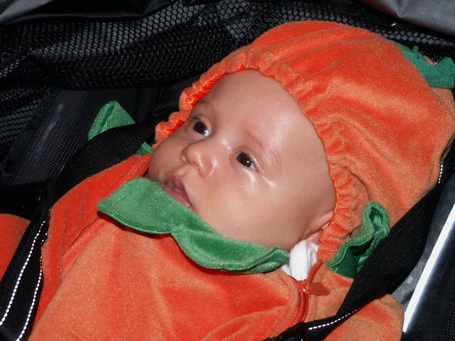 PICT1552.JPG  (50.0 Kb)