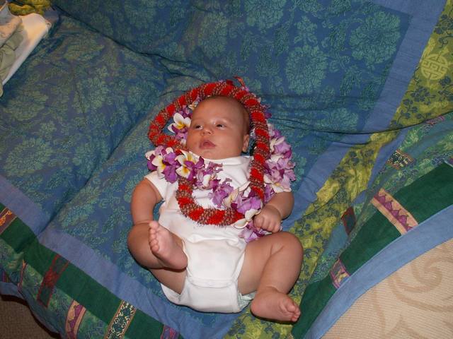 PICT1562.JPG  (51.2 Kb)
