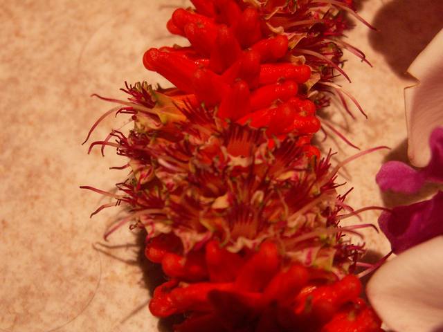 PICT1564.JPG  (38.8 Kb)