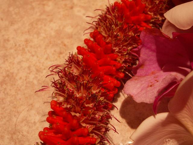 PICT1565.JPG  (40.4 Kb)