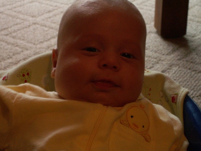 PICT1483.JPG  (58.8 Kb)