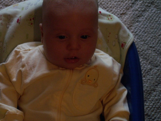 PICT1485.JPG  (65.5 Kb)