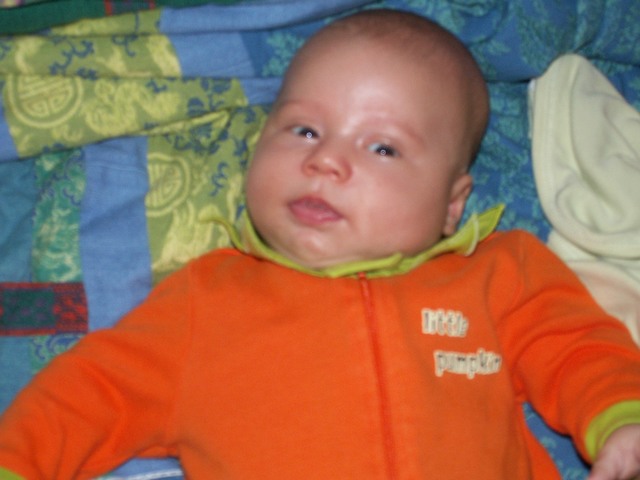 PICT1495.JPG  (54.9 Kb)