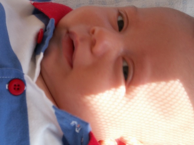 PICT1501.JPG  (45.6 Kb)