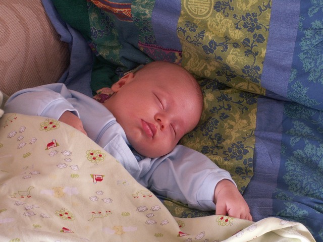 PICT1506.JPG  (88.5 Kb)