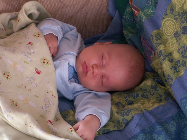 PICT1508.JPG  (82.9 Kb)