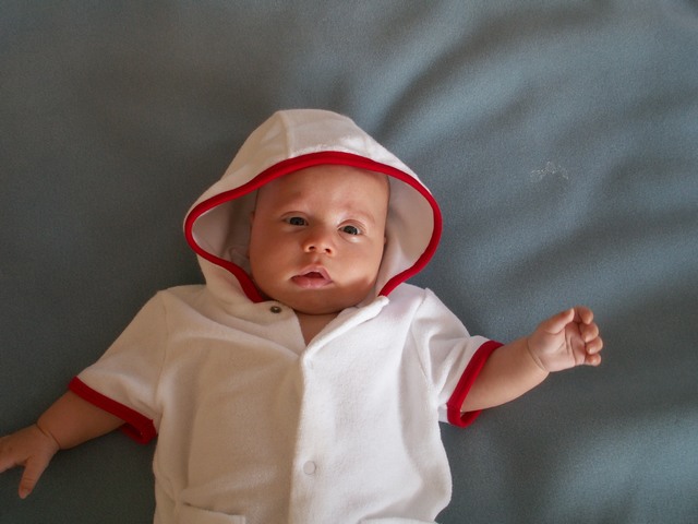 PICT1509.JPG  (58.2 Kb)