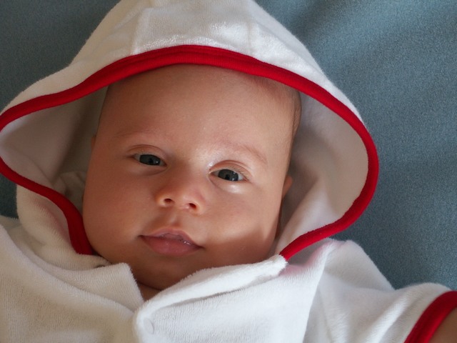 PICT1510.JPG  (64.2 Kb)