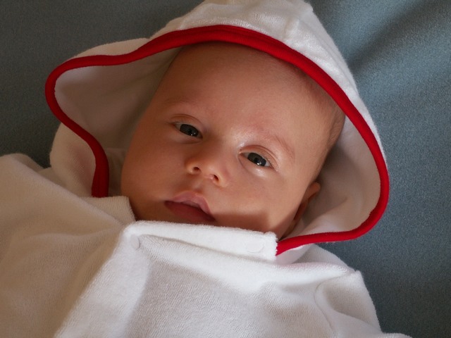 PICT1511.JPG  (64.0 Kb)