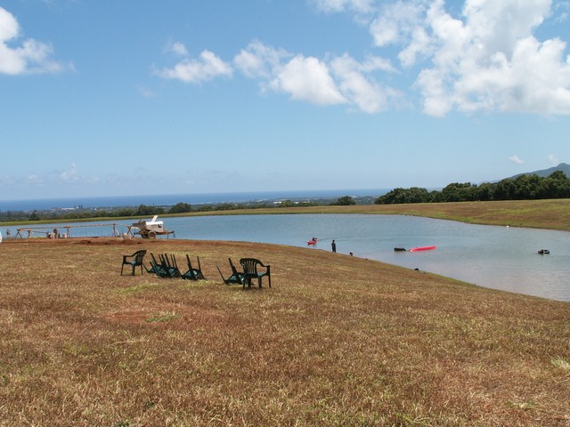 PICT1203.JPG  (90.4 Kb)