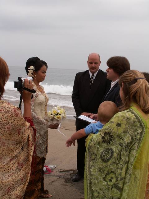 PICT0959.JPG  (43.2 Kb)