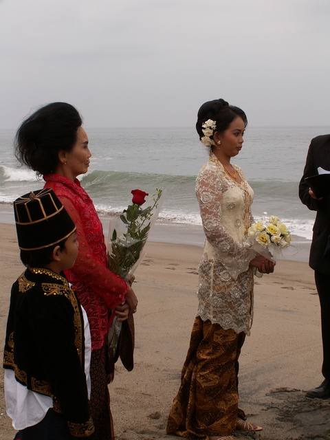 PICT0991.JPG  (36.2 Kb)