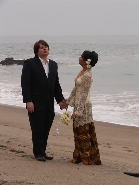 PICT1093.JPG  (31.3 Kb)