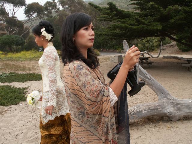 PICT1122.JPG  (60.9 Kb)