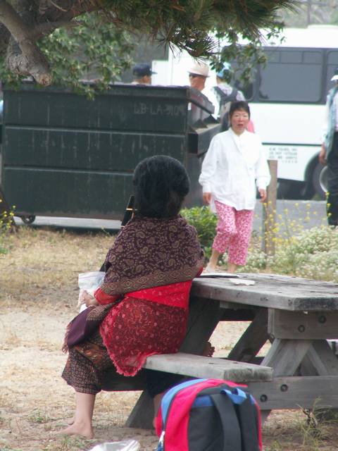PICT1131.JPG  (47.8 Kb)