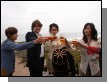 PICT1174.JPG  (36.6 Kb)